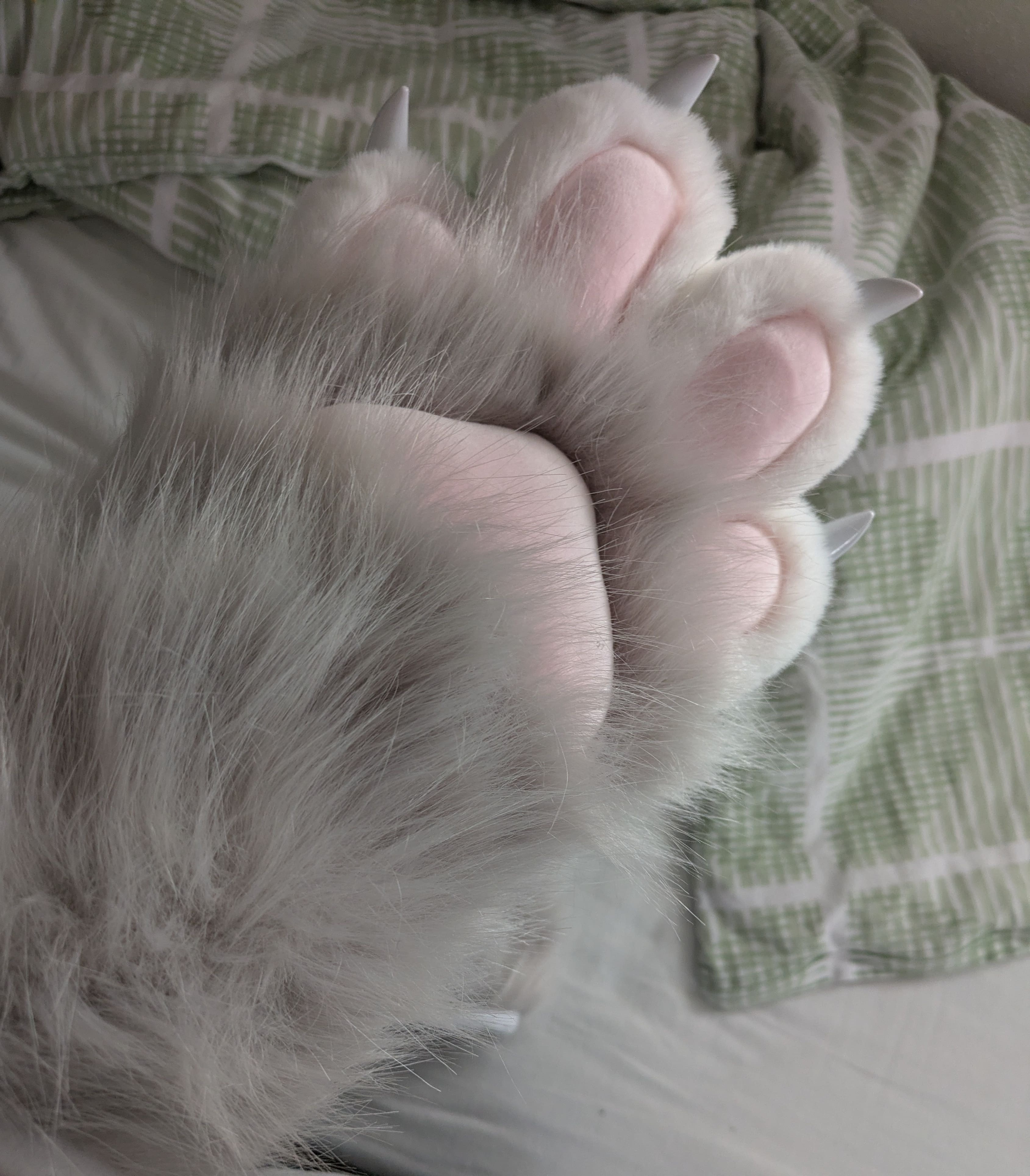 Soft outfit detail